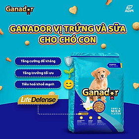 Thức ăn cho chó con Ganador vị Trứng và Sữa - Ganador Egg and Milk [ 3KG