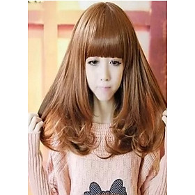 Tóc giả nữ hàn quốc tặng kèm lưới T78