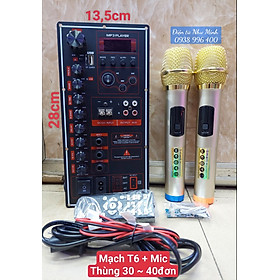 Mua Mạch loa kéo 13 5 * 28cm kèm mic không dây