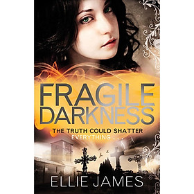 Fragile Darkness: Book 3 (Shattered Dreams)
