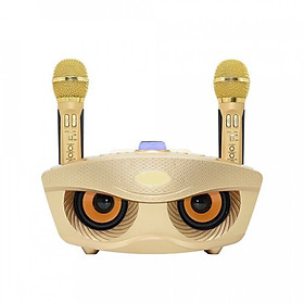 Loa Hát Karaoke Bluetooth 306 kèm 2 Mic