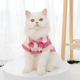 ÁO THUN POLO CHO THÚ CƯNG CHÓ MÈO