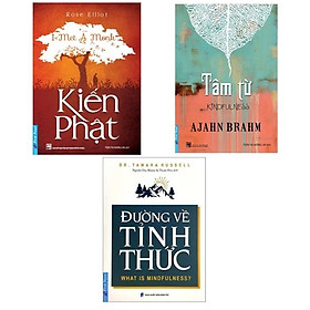 [Download Sách] Combo 3 cuốn sách: Kiến Phật + Tâm Từ +Đường Về Tỉnh Thức - What Is Mindfulness?