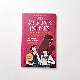 Hình ảnh Sách - Tuyển tập Sherlock Holmes - Những bí mật và báu vật bị đánh cắp (10 tập) - Đinh Tị Books