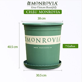 Chậu nhựa trồng cây MONROVIA 7 GL, chậu trồng cây, chậu cây cảnh mini, để bàn, treo ban công, treo tường, cao cấp, chính hãng thương hiệu MONROVIA