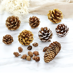 Mua Quả thông trang trí noel