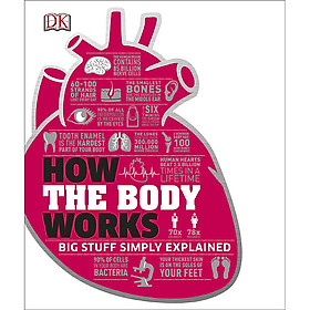 Hình ảnh sách DK Big Stuff Simply Explained: How The Body Works