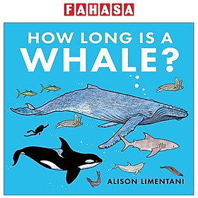 How Long Is A Whale?