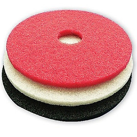Mua Miếng Pad chà sàn (của máy chà sàn)