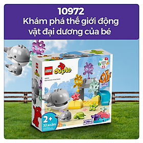 LEGO DUPLO 10972 Khám phá thế giới động vật đại dương của bé (32 chi tiết)