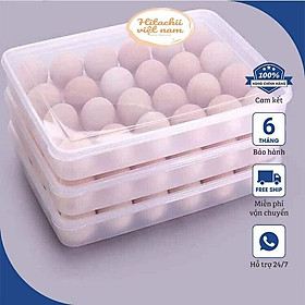 Mua Hộp đựng trứng 24 quả Song Long nhỏ gọn tiện lợi chất liệu bền đẹp  Khay đựng trứng 24 ô có nắp đậy