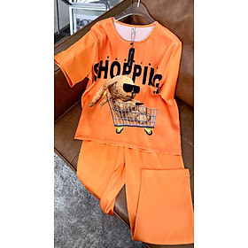 SET BỘ THỜI TRANG LỬNG PHỐI MÀU TAY SIÊU XINH