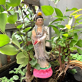 Mua Tượng Quan Âm size trung Trang Trí Hổ Cá  Bể Cá-Hòn Non Bộ ..