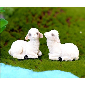 Combo đôi cừu trắng trang trí tiểu cảnh, nhà búp bê, bonsai, DIY