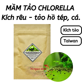 Mầm Tảo Đài Loan Kích Rêu Tảo Xanh, Kích Tảo Xanh hồ tép, hồ cá - Trang trí hồ tép, cá cảnh - Hingaostore