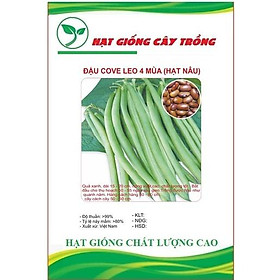 Hạt giống đậu cove hạt nâu dạng leo CT143 - Gói 10gram