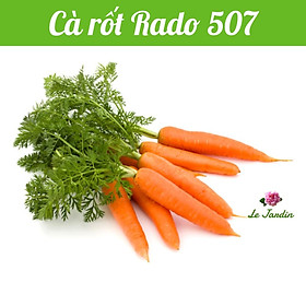 Hạt giống Cà rốt Rado 507 gói 5gr - Xuất xứ Italy
