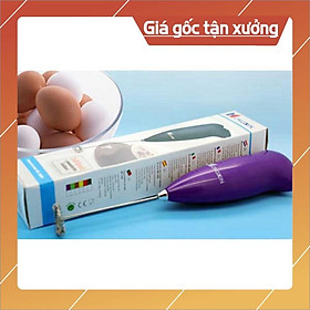 Mua Sẵn hàng MÁY ĐÁNH TRỨNG  CAFE CẦM TAY MINI