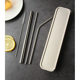 Mua Set 3 Ống Hút Inox 304 Đủ Size Kèm Chổi Cọ Rửa Và HỘP CAO CẤP - Màu Ngẫu Nhiên