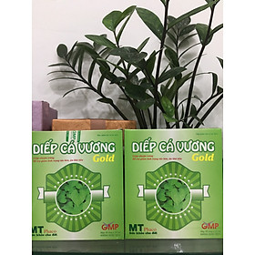 Combo 3 Hộp Diếp cá vương Gold- Giảm triệu chứng táo bón, Trĩ