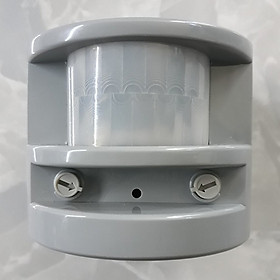 Mua Báo trộm hồng ngoại