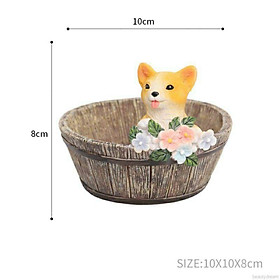 Chậu trồng cây hoặc trang trí hình thú trong chậu đáng yêu