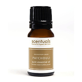 Hình ảnh Tinh dầu hoắc hương - Pure essential oil 10 ml - PATCHOULI