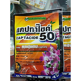 Captan Trị Nấm, Thối nhũn cho Lan, nhập Thái - 100g