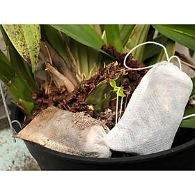 Mua 100 Túi lọc đựng phân tan chậm- SIZE 6x8cm- treo hoặc bỏ gốc tiện lợi