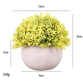 Mua Chậu cây hoa giả cao cấp Hình bầu vân sần Cây nhựa nhiều loại lựa chọn