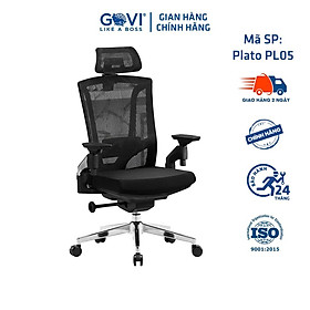 Mua Ghế công thái học GOVI Ergonomic Plato PL05 Thiết kế bảo vệ sức khỏe