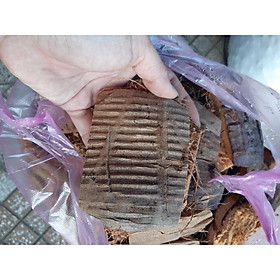 Mua Xơ dừa đã qua xử lý  cán mềm dùng lót chậu  làm giá thể trồng lan 1kg hàng đẹp  phân phối chuyên nghiệp.