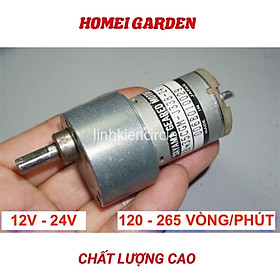 Motor giảm tốc 12V - 24V tốc độ 120 - 265 vòng/phút bánh răng kim loại chất lượng cao - D0272