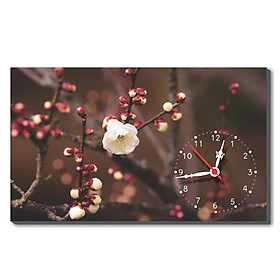 Đồng hồ B1525-57