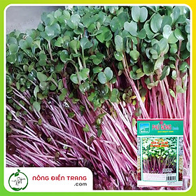 Hạt giống mầm củ cải đỏ ITALIA Phú Nông - Gói 30g - Nảy mầm nhanh, phát triển khỏe VTNN Nông Điền Trang