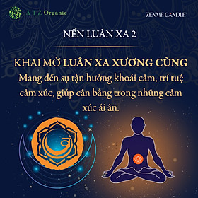 Mua Nến Thơm - ZENME - Luân Xa 2 - Cân Bằng Nỗi Sợ Hãi  Hỗ Trợ Cải Thiện Sinh Lực