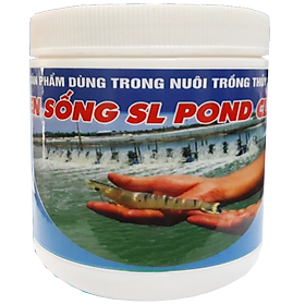 MEN SỐNG SL POND CLEAR - Dùng sinh khối nuôi cấy nhân giống vi sinh