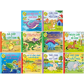 Bộ Sách Những Câu Chuyện Tình Bạn