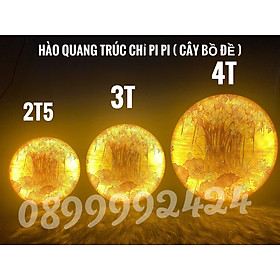 Mua ĐÈN THỜ LED HÀO QUANG TRÚC CHỈ PIPI  TRANH TRÚC CHỈ NỀN VÀNG CÓ DIMMER ĐIỀU CHỈNH ÁNH SÁNG CÂY BỒ ĐỀ 25CM  30 CM   40CM