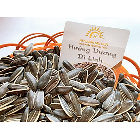 HẠT Hướng Dương Di Linh nguyên vị 500Gram