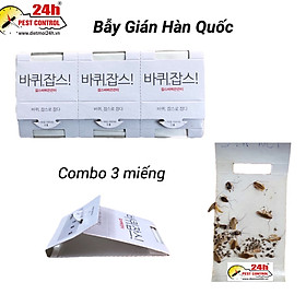 Mua Combo 3 bẫy gián  Hàn Quốc siêu dính    chất lượng tốt  diệt gián hiệu quả