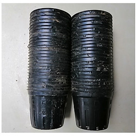 50 CHẬU NHỰA FI 10CM TRỒNG LAN TRỒNG RAU ƯƠM MẦM