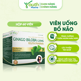 Viên Uống Ginkgo Biloba Youth Pharma Hỗ Trợ Tăng Cường Tuần Hoàn Máu Não. Hộp 60 Viên