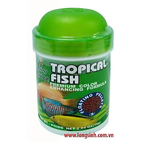 Thức ăn cho cá ali và phượng hoàng Tropical fish