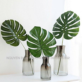 Mua Cành Lá Rùa Giả - Lá Rách Trang Trí Dài 80cm Đường Kính Lá 35x30cm