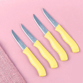 Mua Bộ 4 dao cắt gọt tỉa trái cây inox siêu bén