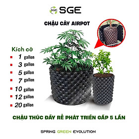 Chậu Cây Air Pot Làm Từ Nhựa HDPE Và Không Dễ Bị Vỡ, Dễ Sử Dụng, Tái Sử Dụng Đơn Giản, Thân Thiện Với Môi Trường SGE