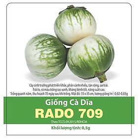 Mua Hạt Giống Cà Dĩa Giòn  Sai Trái Rạng Đông Gói 0.5Gram - Shop Hạt Giống Ba Miền Chịu Nhiệt