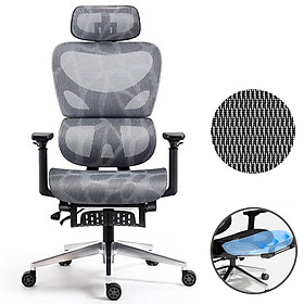 Mua Ghế Làm Việc Công Thái Học - Ergonomics Ngả Lưng Thư Giãn AMA-K80g