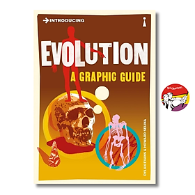 Sách - Introducing Evolution A Graphic Guide by Dylan Evans - Icon Books Graphic Guide Series
